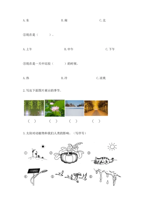 教科版科学二年级上册《期末测试卷》精品【b卷】.docx