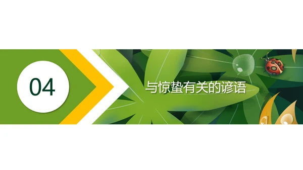 七星瓢虫惊蛰PPT模板