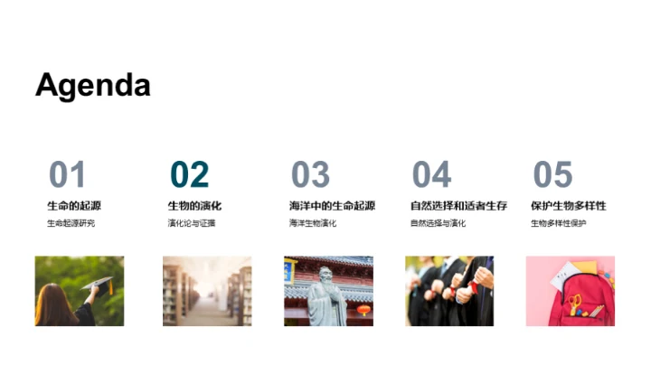 生物演化与多样性