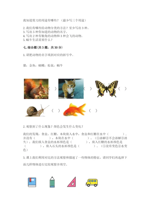 教科版一年级下册科学期末测试卷【夺冠系列】.docx