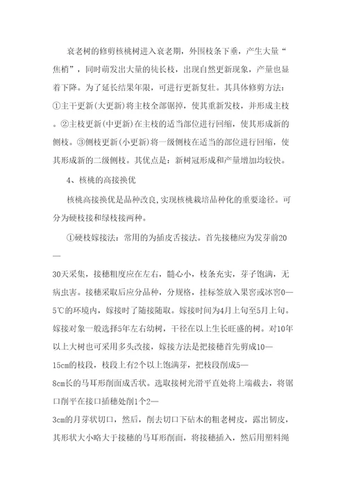 核桃栽培管理技术