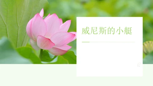 统编版语文五年级下册第七单元（课件）