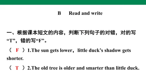Unit 1　How tall are you？专项练习课件(共64张PPT)