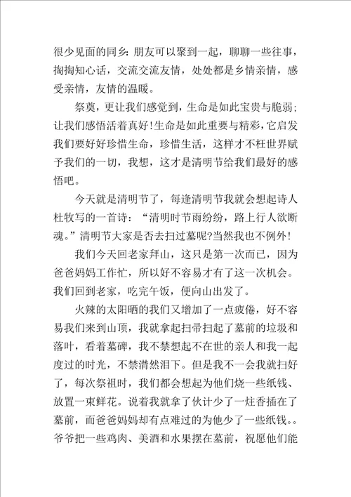 清明节感想作文500