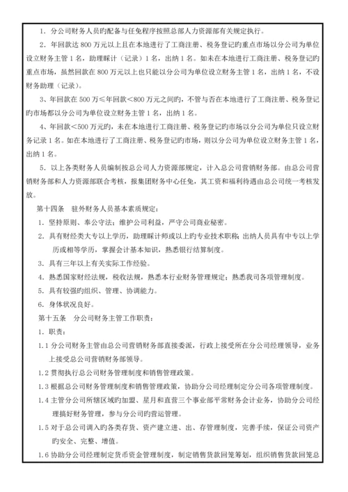 分公司财务管理新版制度.docx