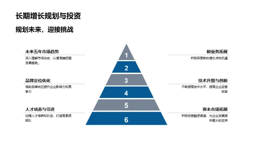 季度业绩与策略解析