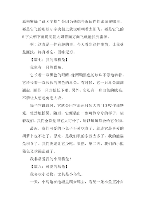 小动物作文350字.docx
