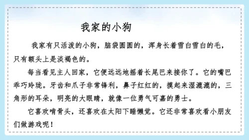 统编版语文二年级上册 课文1  口语交际 有趣的动物  课件