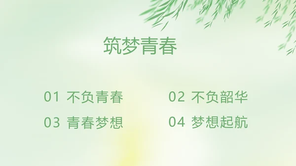 激扬青春放飞梦想电子相册动态PPT