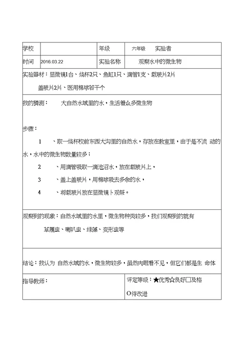 教科版六年级科学下册实验报告单(全)