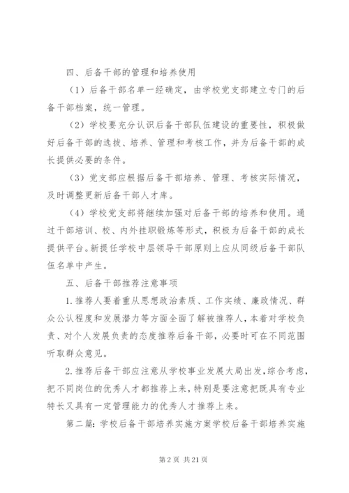 后备干部培养实施方案.docx
