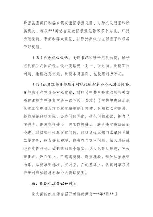 党支部组织生活会工作专业方案.docx