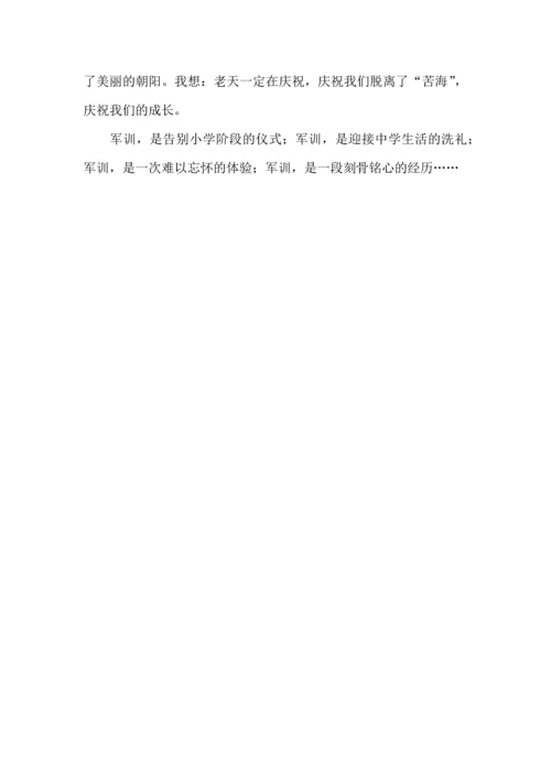 初中军训心得体会合集六篇（三）.docx