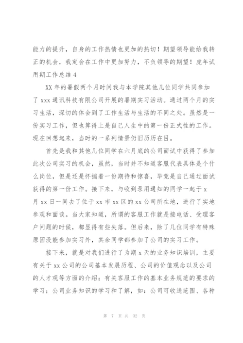 虎年试用期工作总结.docx