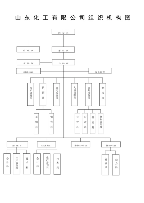 公司组织机构设计专题方案.docx