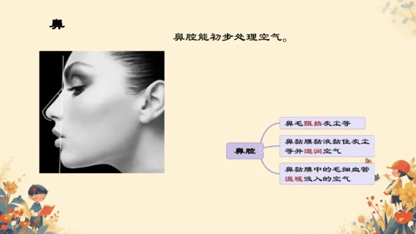 4.3.1 呼吸道对空气的处理课件(共16张PPT)人教版七年级下册