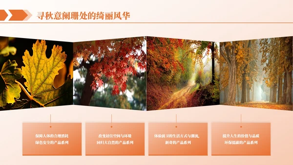 橙色商务图文排版PPT版式合集
