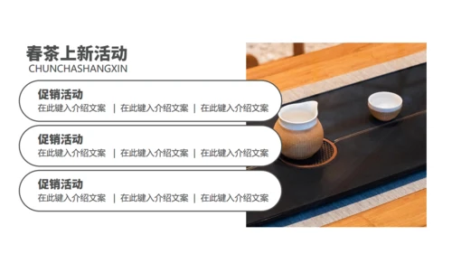 茶业店春茶产品介绍宣传手册通用PPT模板