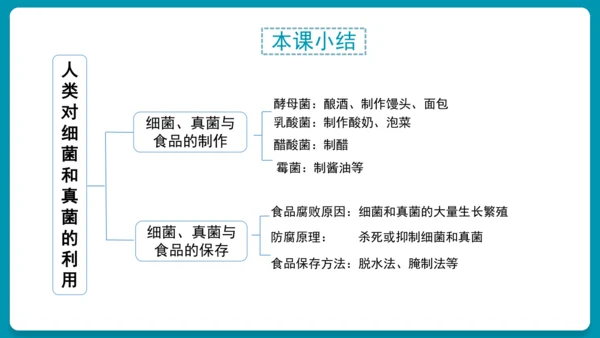 5.4.5人类对细菌和真菌的利用（第2课时）-人教版生物八年级上册(共25张PPT)