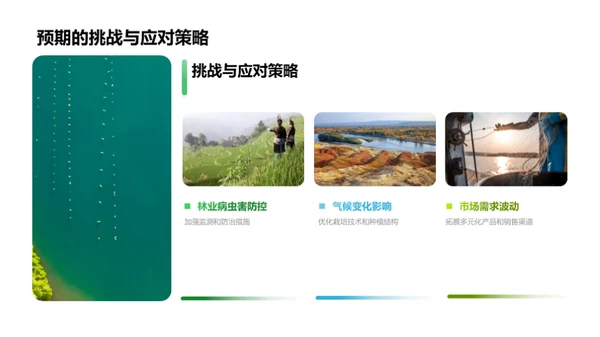 20XX年林业盘点与展望