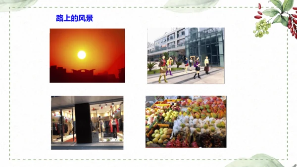 5 《铺满巴掌的水泥道》仿写指导课件