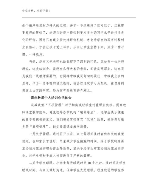 2024年青年教师个人培训心得体会范文10篇合辑.docx