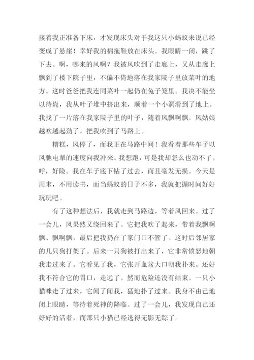 一只小蚂蚁作文.docx