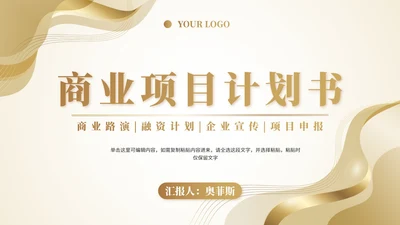 商务商业项目计划书PPT模板