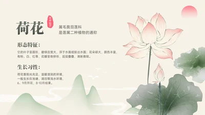 绿色中国风荷花简介