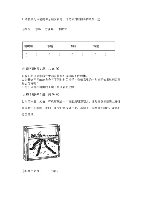 教科版二年级上册科学期末测试卷（能力提升）.docx