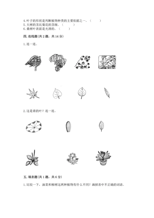 教科版科学一年级上册第一单元《植物》测试卷及参考答案（b卷）.docx