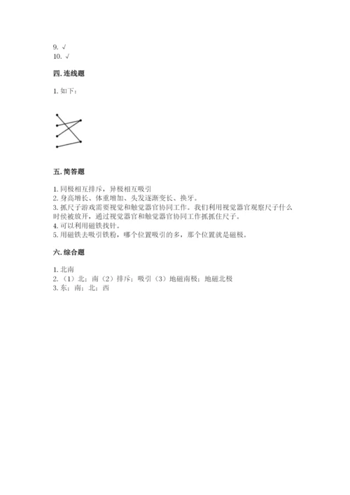 教科版小学科学二年级下册 期末测试卷审定版.docx