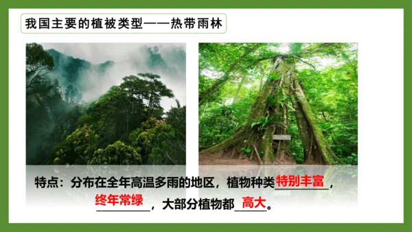 3.6 爱护植被，绿化祖国2023-2024学年七年级生物上册精品课件（人教版）(共21张PPT)