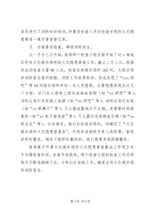 文化娱乐场整治工作汇报材料.docx