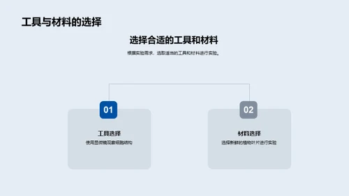 科学实验与探索