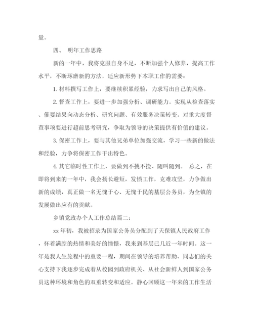 精编之关于乡镇党政办的个人工作总结范文集锦.docx