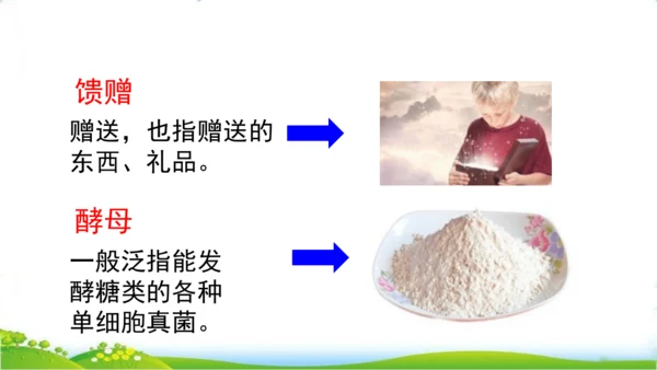 27 我的“长生果“   课件
