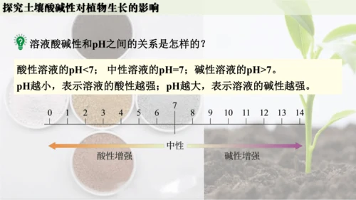 跨学科实践活动9  探究土壤酸碱性对植物生长的影响课件(共33张PPT)