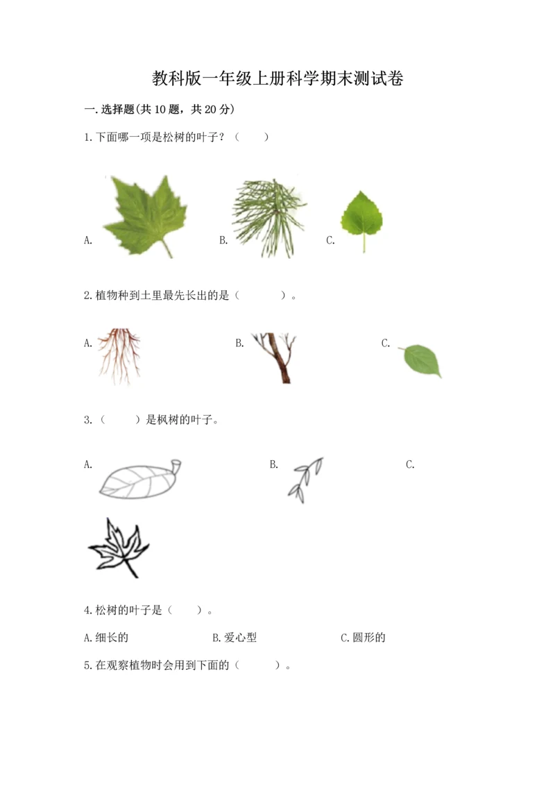 教科版一年级上册科学期末测试卷【能力提升】.docx