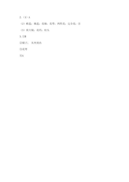 科学四年级下册第一单元《植物的生长变化》测试卷【培优】.docx