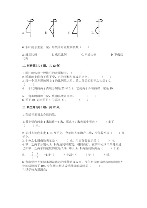 大洼县六年级下册数学期末测试卷完美版.docx