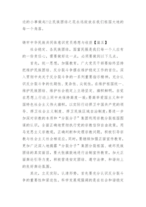铸牢中华民族共同体意识党员感想与收获.docx