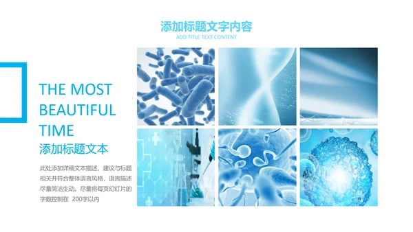 医疗细菌病毒微生物细胞组织动态ppt模板
