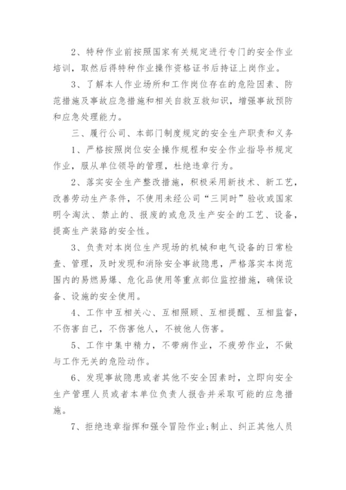 个人安全承诺书_10.docx
