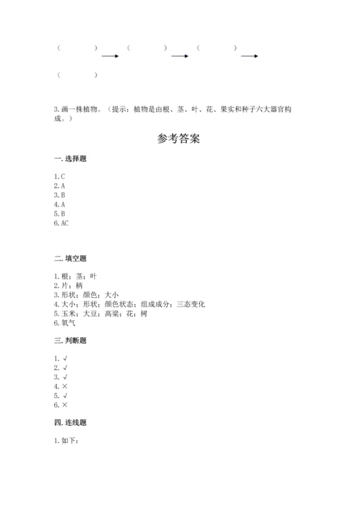 教科版科学一年级上册第一单元《植物》测试卷（精选题）.docx