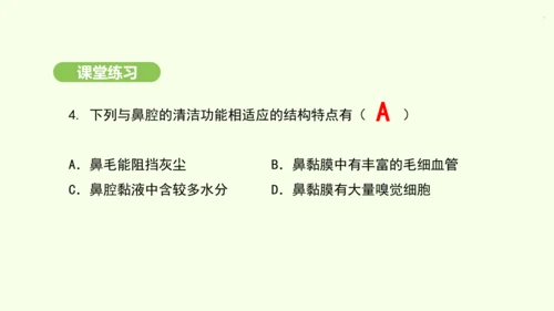 第四单元-第三章-第一节-呼吸道对空气的处理课件-2024-2025学年七年级生物下学期人教版(20