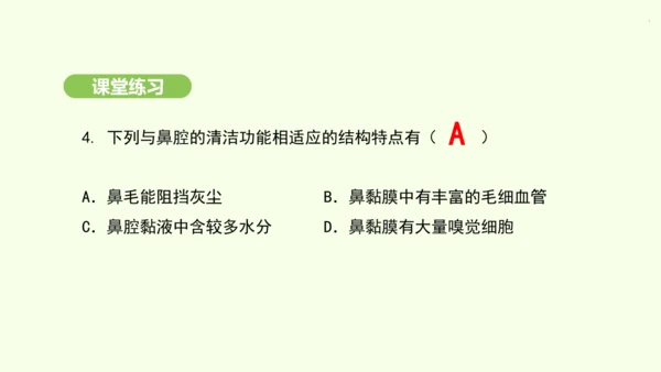 第四单元-第三章-第一节-呼吸道对空气的处理课件-2024-2025学年七年级生物下学期人教版(20