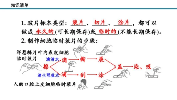 人教版生物七年级上册第一单元《生物与细胞》单元复习课件(共53张PPT)