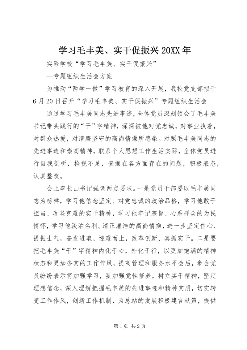 学习毛丰美、实干促振兴20XX年 (4).docx