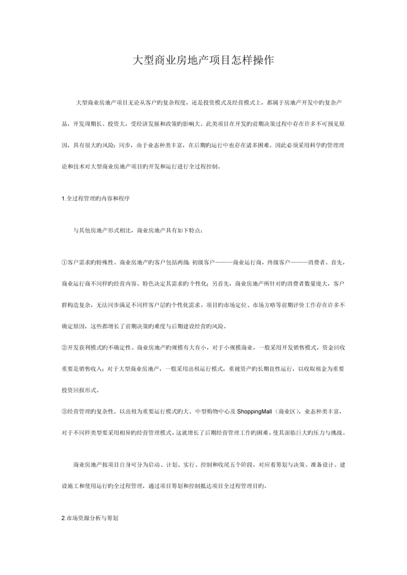 大型商业房地产项目如何操作.docx